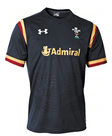 Welsh Rugby Union (WRU) Replica Jersey 15⁄16 (Grey)