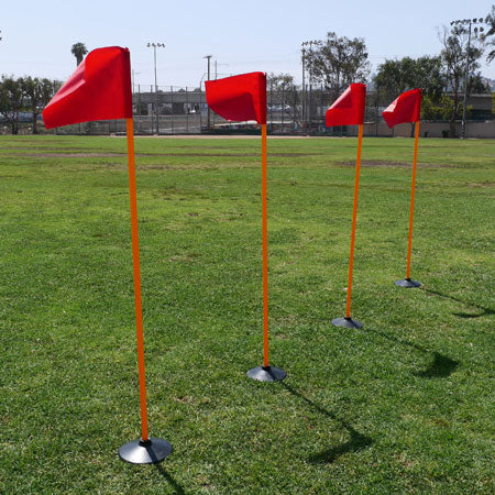Turf Field Flags-Set of 16-Ships Free!